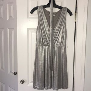 Silver BB Dakota Skater Dress- worn once